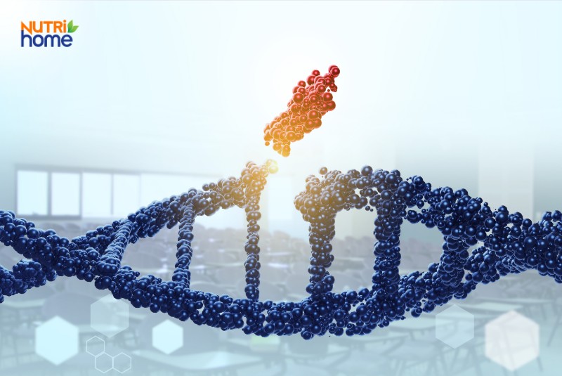 Nguyên nhân u lành tính là gì?