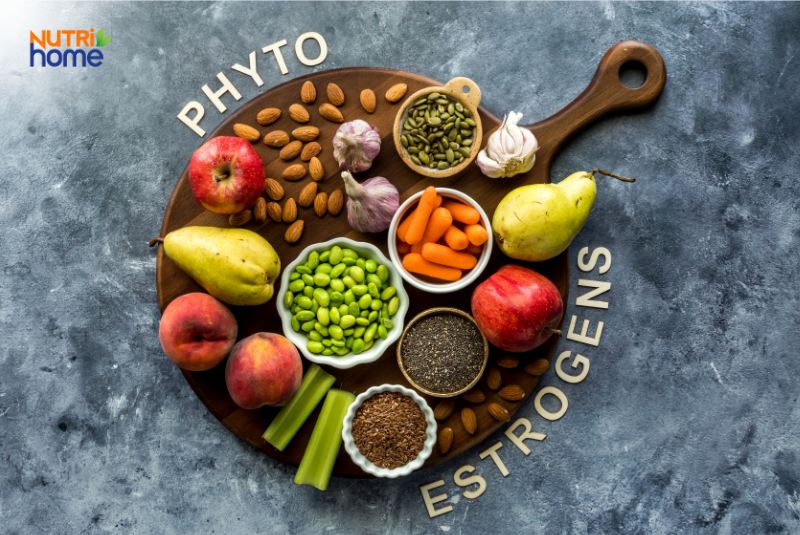 ung thư vú nên kiêng ăn gì tùy thuộc vào tình trạng bệnh