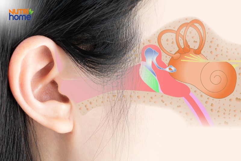 Các loại rối loạn tiền đình phổ biến