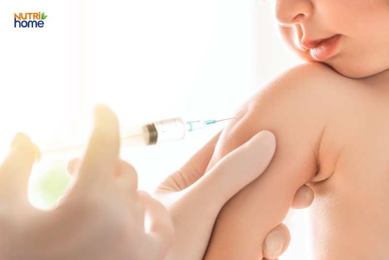 các mũi vacxin cho trẻ dưới 1 tuổi