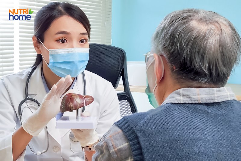 trà mát gan giải độc tốt nhất