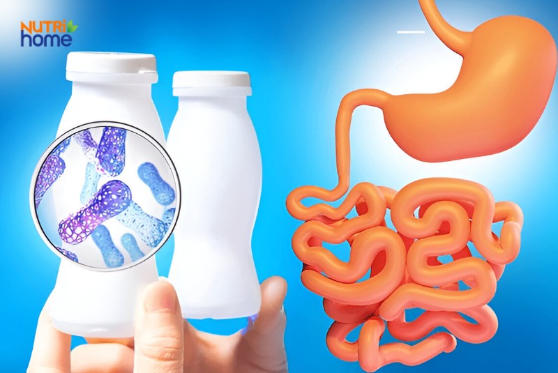 viêm dạ dày có ăn được sữa chua không