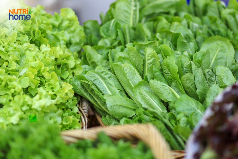 bị viêm niêm mạc dạ dày nên rau xanh