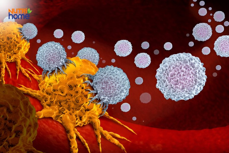 Liệu pháp miễn dịch