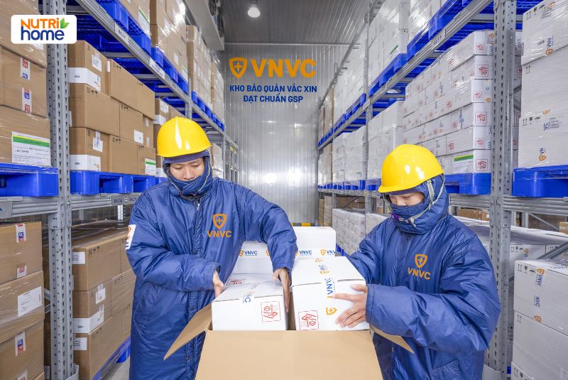 tiêm phòng phế cầu cho người lớn