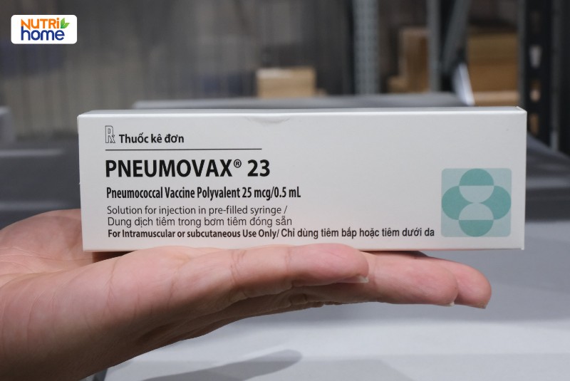 vắc xin phế cầu khuẩn