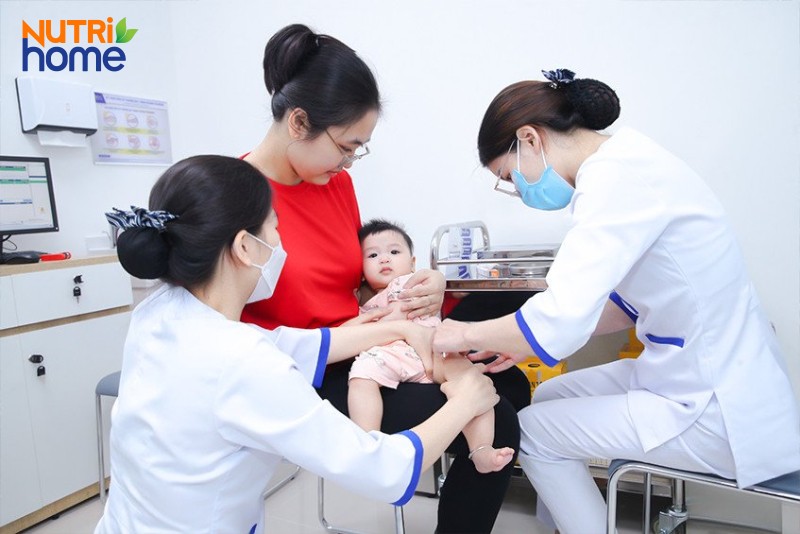 Vacxin 6 trong 1 của Bỉ và Pháp là gì?