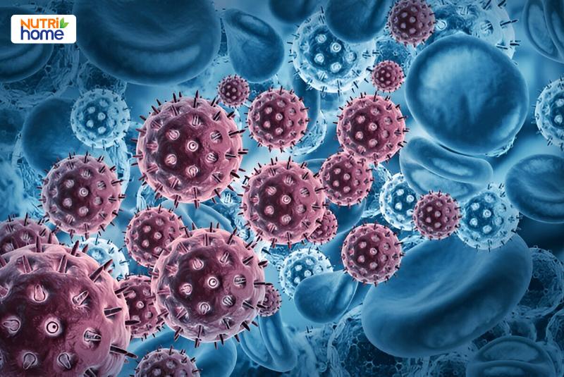 Nguy cơ ung thư do HPV 16 và 18