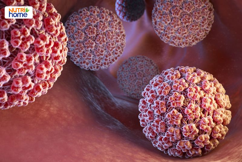 HPV nhóm nguy cơ cao