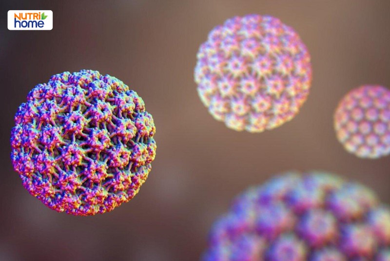 HPV type 18 là gì?