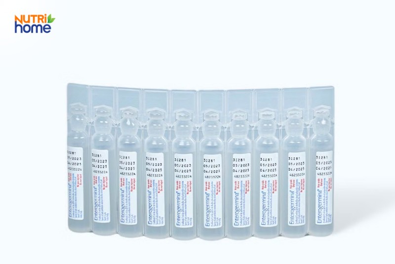 uống bổ sung probiotics khi bị rối loạn tiêu hóa