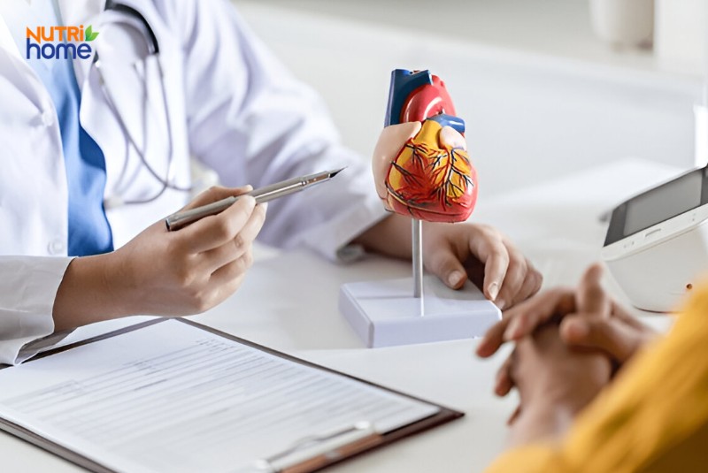 Những lưu ý khi dùng thực phẩm hỗ trợ phòng ngừa cục máu đông
