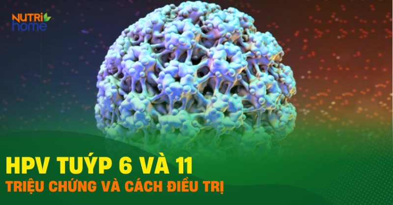 HPV tuýp 6 và 11