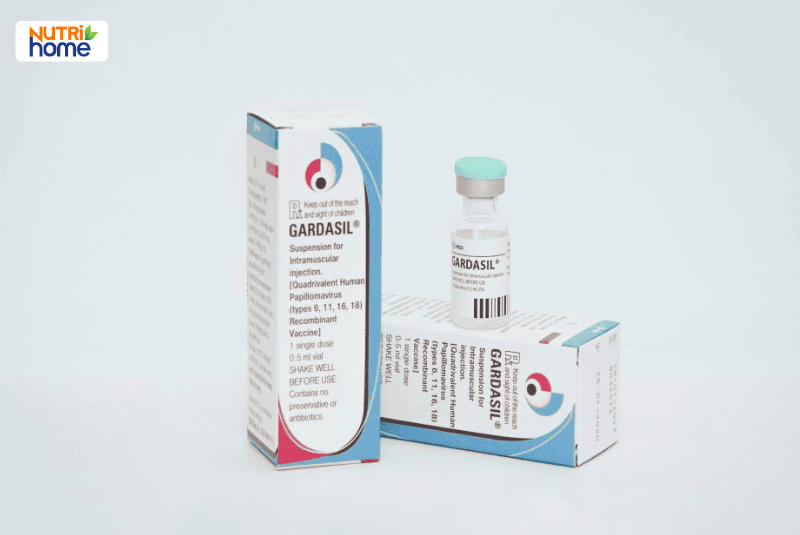 Vắc xin Gardasil 4 dạng hộp và lọ dùng tiêm phòng HPV các chủng 6, 11, 16, 18
