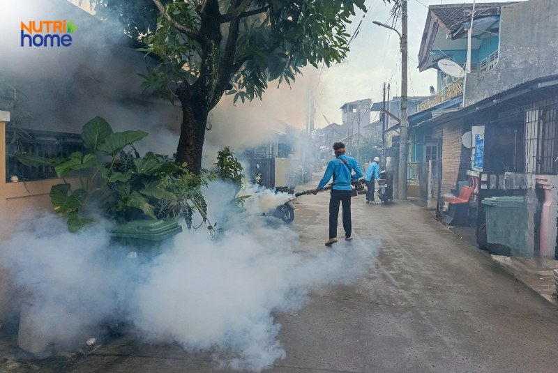 Nhân viên y tế phun hóa chất diệt muỗi phòng chống bệnh Chikungunya tại khu dân cư