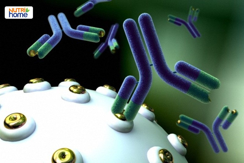 Mô phỏng kháng thể đơn dòng đang gắn kết với kháng nguyên trên bề mặt virus.