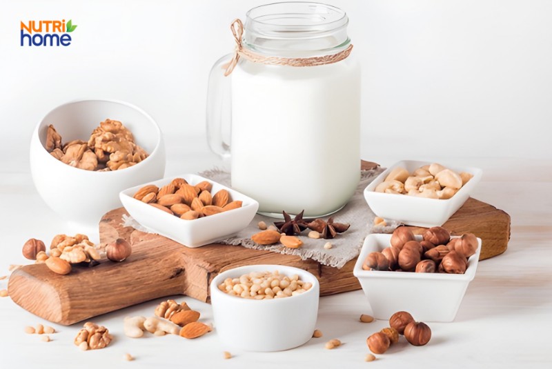Sữa Hạt Và Các Loại Hạt Giàu Dinh Dưỡng, Hỗ Trợ Tiêu Hóa Cho Người Trào Ngược Dịch Mật