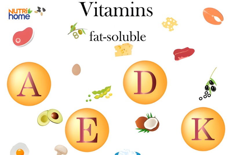 Minh họa các loại vitamin tan trong chất béo như A, D, E, K cùng thực phẩm giàu dưỡng chất