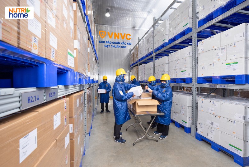 Nhân viên VNVC kiểm tra và bảo quản vacxin HPV trong kho đạt chuẩn GSP.