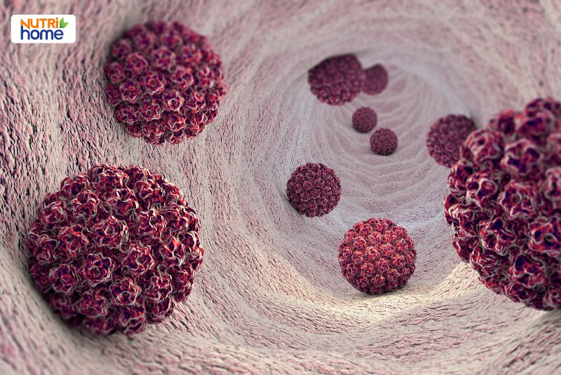 Mô phỏng 3D virus HPV type 16 trong biểu mô cổ tử cung gây nguy cơ ung thư