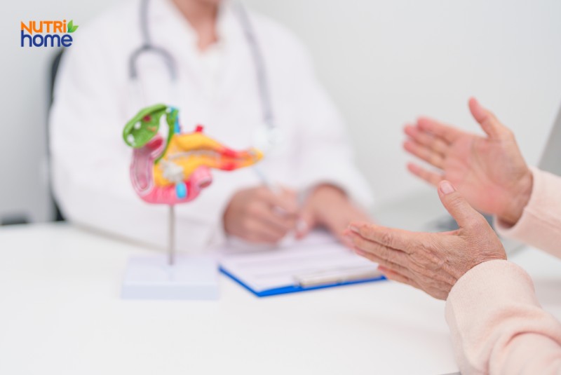 Bác sĩ tư vấn điều trị sỏi mật với bệnh nhân, có mô hình gan mật trên bàn