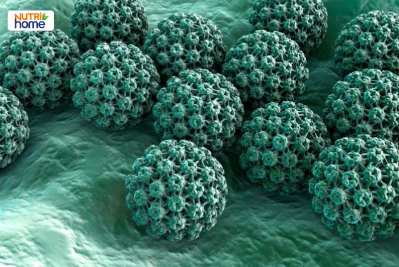 Hình ảnh virus HPV dưới kính hiển vi, nguyên nhân gây sùi mào gà và ung thư sinh dục nam