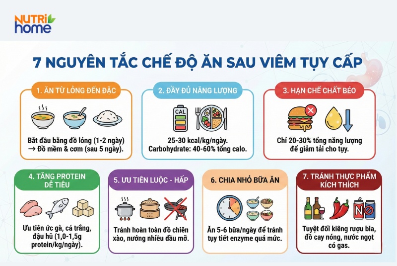 Infographic 7 nguyên tắc chế độ ăn cho người viêm tụy cấp phục hồi tuyến tụy hiệu quả