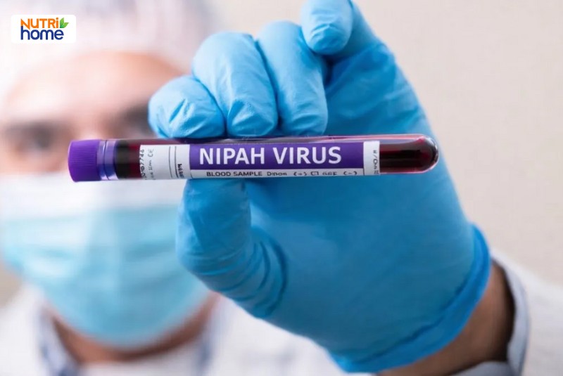 Nhân viên y tế cầm ống nghiệm chứa mẫu máu xét nghiệm virus Nipah