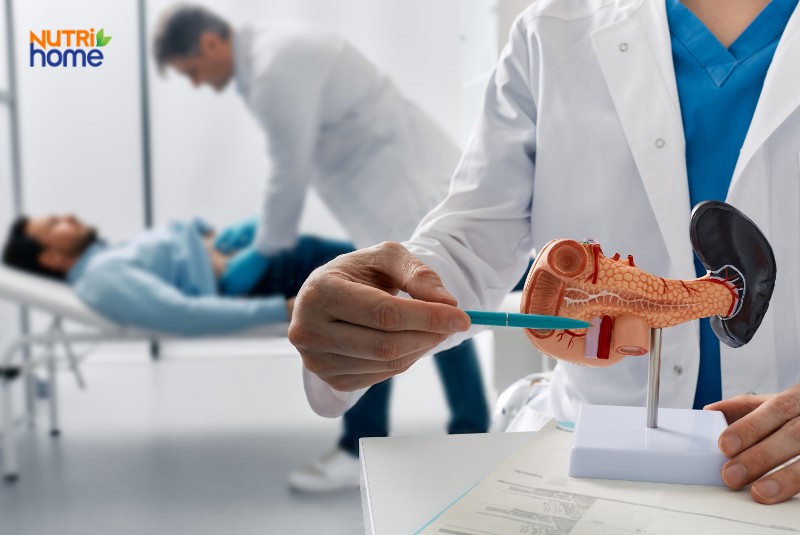 Bác sĩ giải thích mô hình tuyến tụy cho bệnh nhân trong quá trình chẩn đoán ung thư