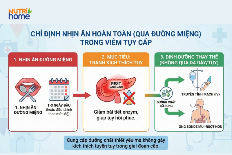 Minh họa lý do cần nhịn ăn hoàn toàn để giảm kích thích tụy trong điều trị viêm tụy cấp