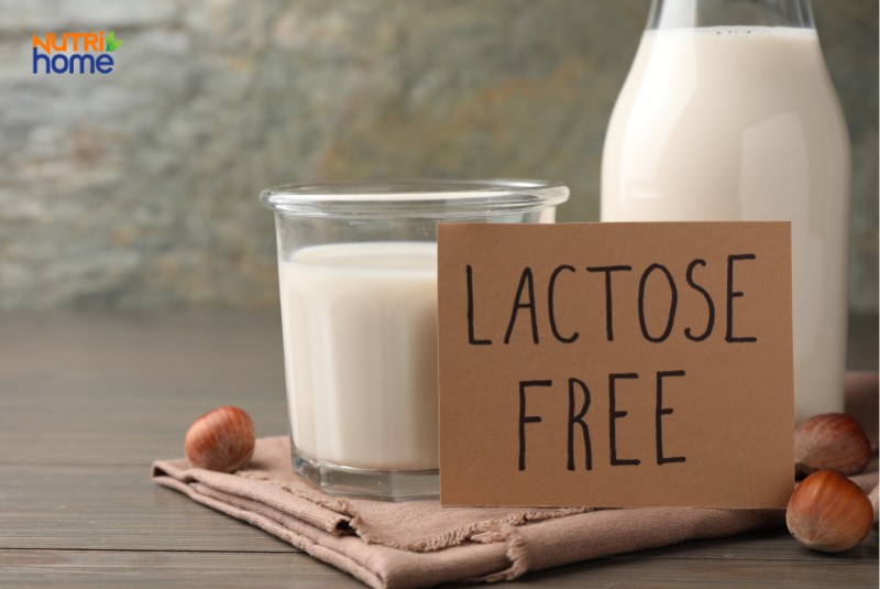 Ly sữa không lactose thích hợp cho người viêm tụy cần hạn chế đường sữa