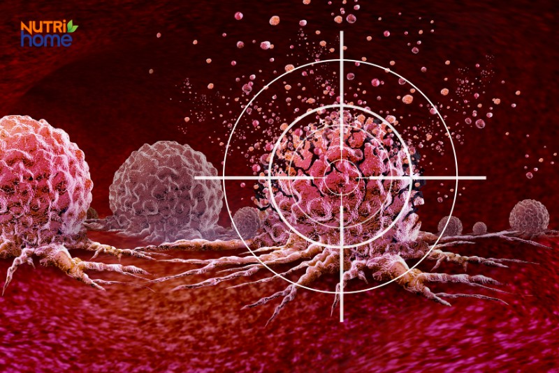 Hình minh họa tế bào ung thư tụy đang phát triển với mục tiêu điều trị chính xác