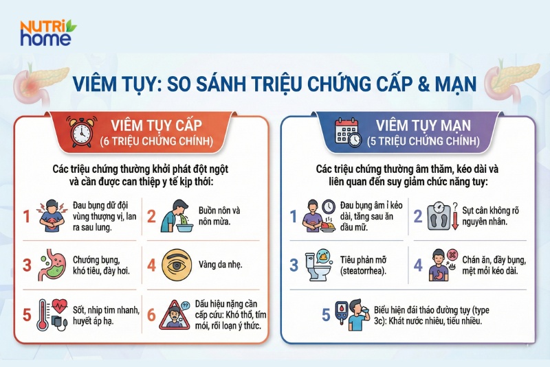 So sánh triệu chứng viêm tụy cấp và viêm tụy mạn qua infographic