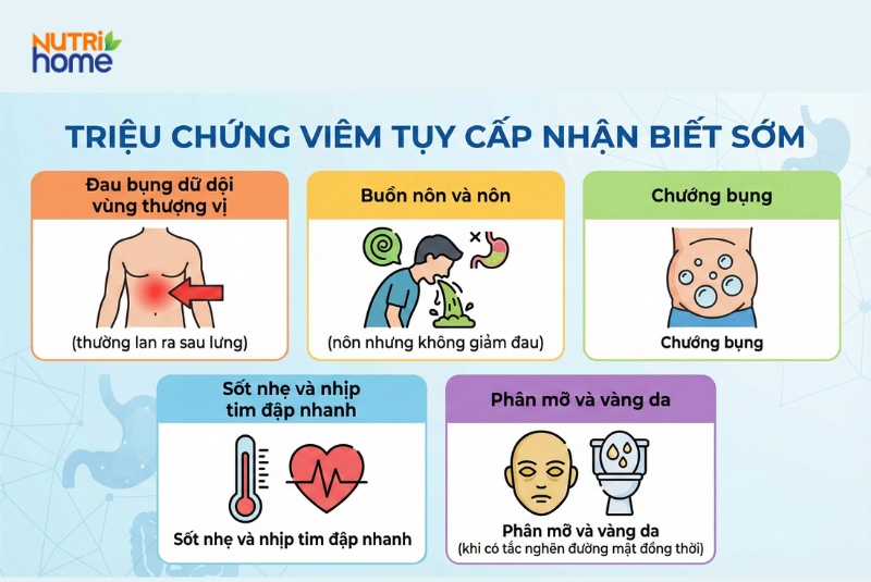 Triệu chứng nhận biết sớm viêm tụy cấp như đau bụng, nôn, chướng bụng, vàng da