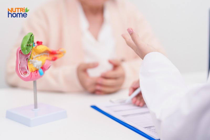 Bệnh nhân trao đổi với bác sĩ về tình trạng u tuyến tụy với mô hình nội tạng minh họa