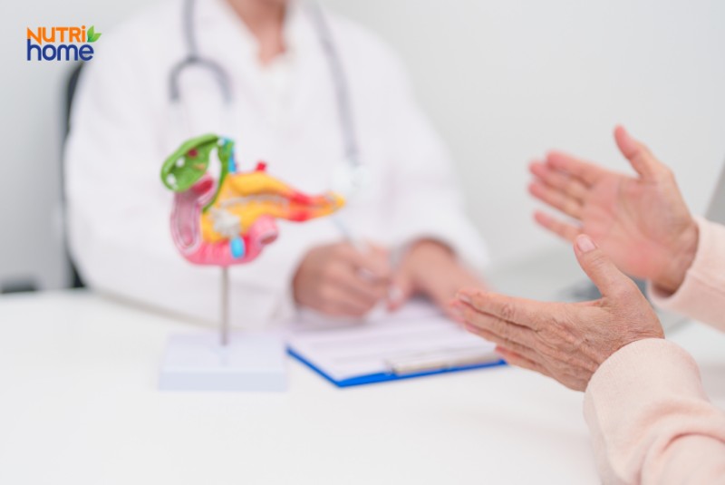 Bệnh nhân tư vấn với bác sĩ về tình trạng tuyến tụy qua mô hình minh họa