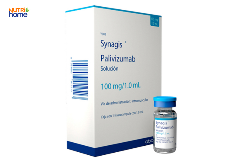 Synagis palivizumab – kháng thể đơn dòng dùng dự phòng RSV cho trẻ sinh non và trẻ nguy cơ cao
