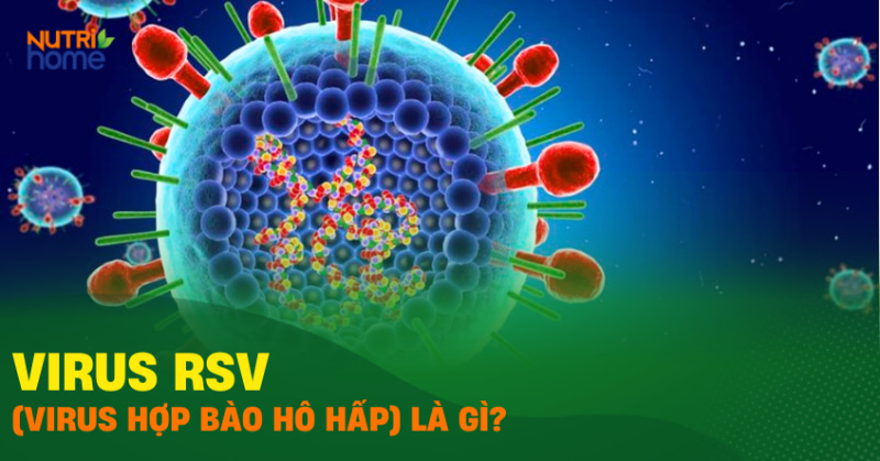 virus rsv