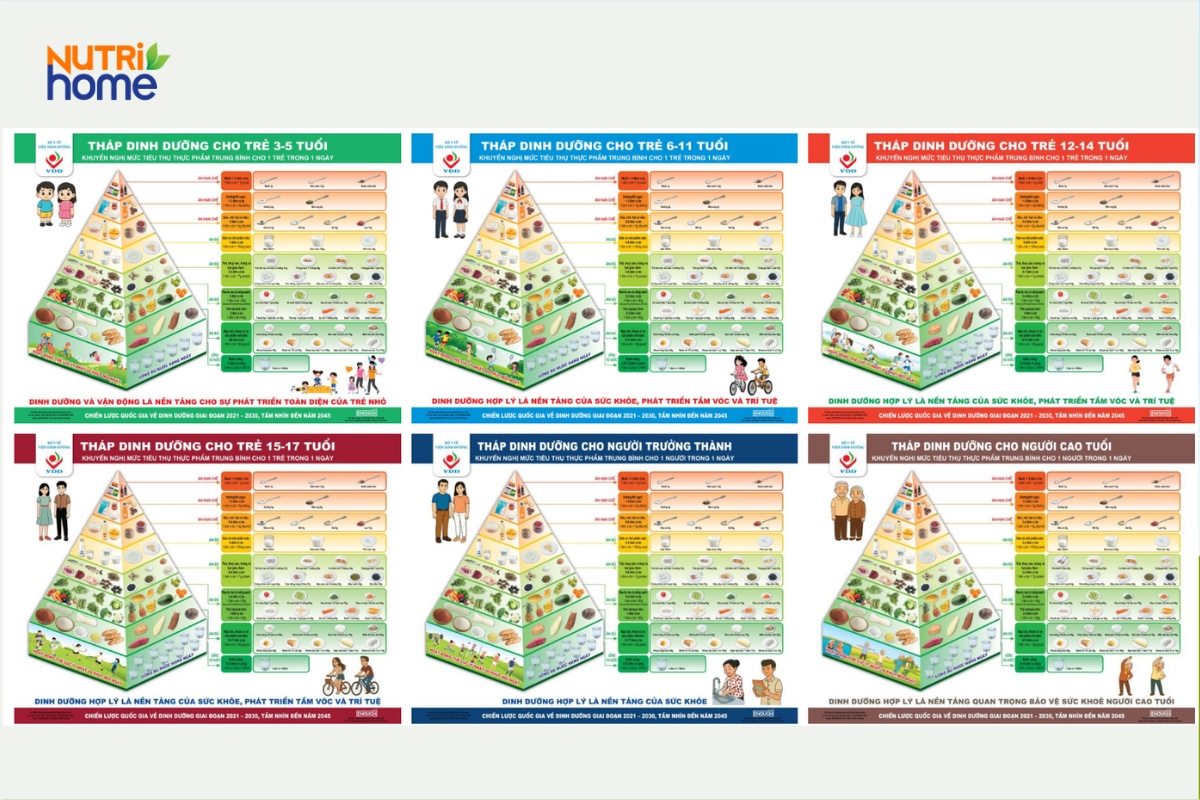 Bộ 6 tháp dinh dưỡng cho người Việt của Viện Dinh dưỡng Quốc gia