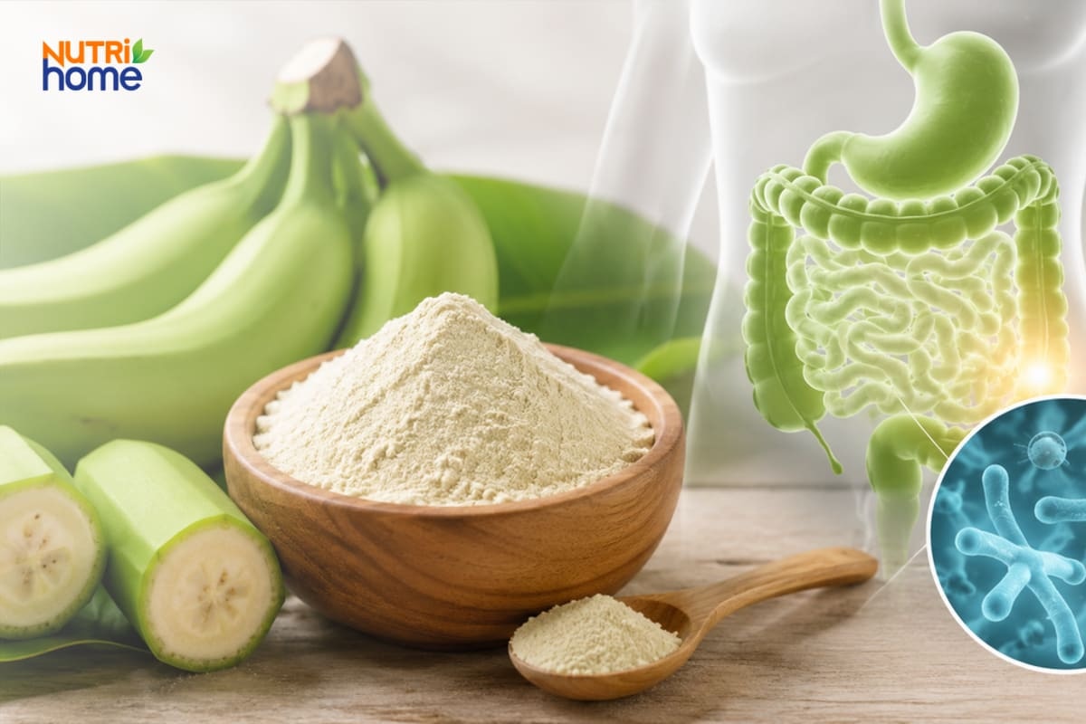 Bột chuối xanh giàu tinh bột kháng hỗ trợ tiêu hóa và lợi khuẩn