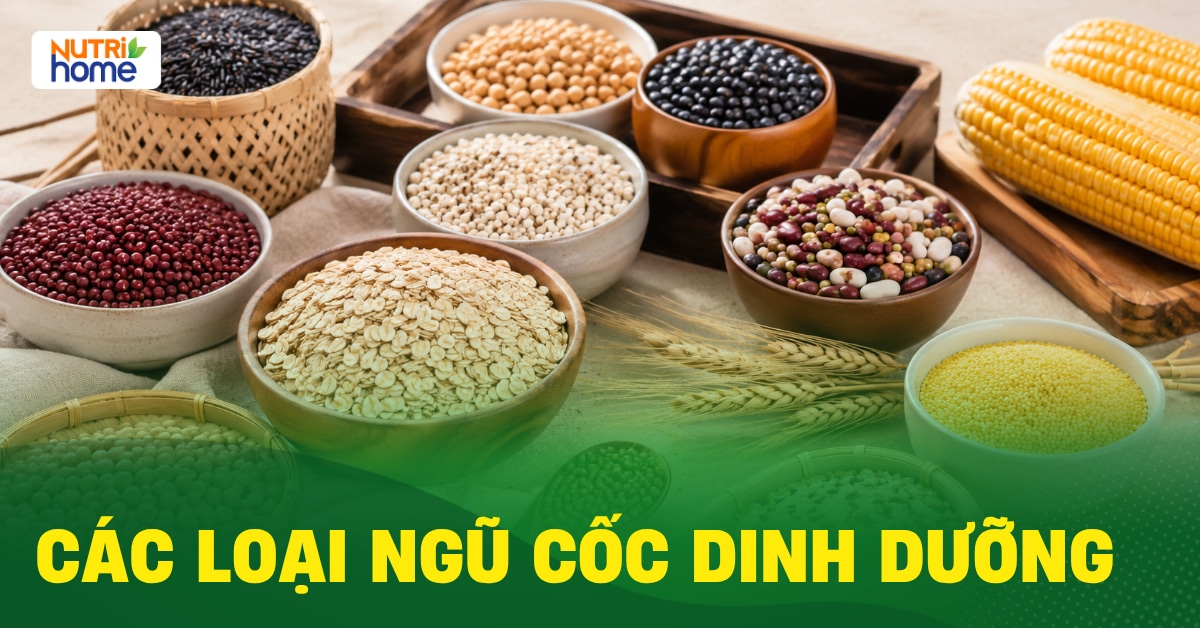 ngũ cốc dinh dưỡng
