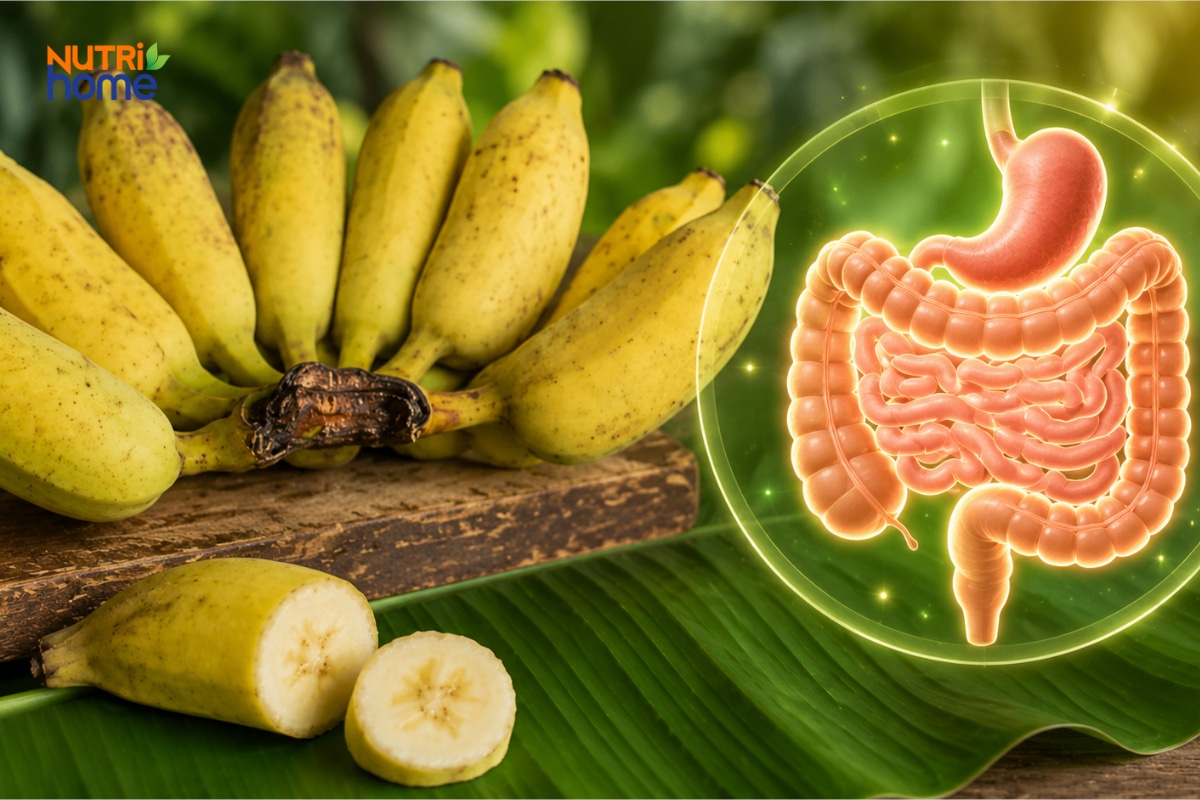 Chuối sứ giàu chất xơ hỗ trợ tiêu hóa, giảm táo bón