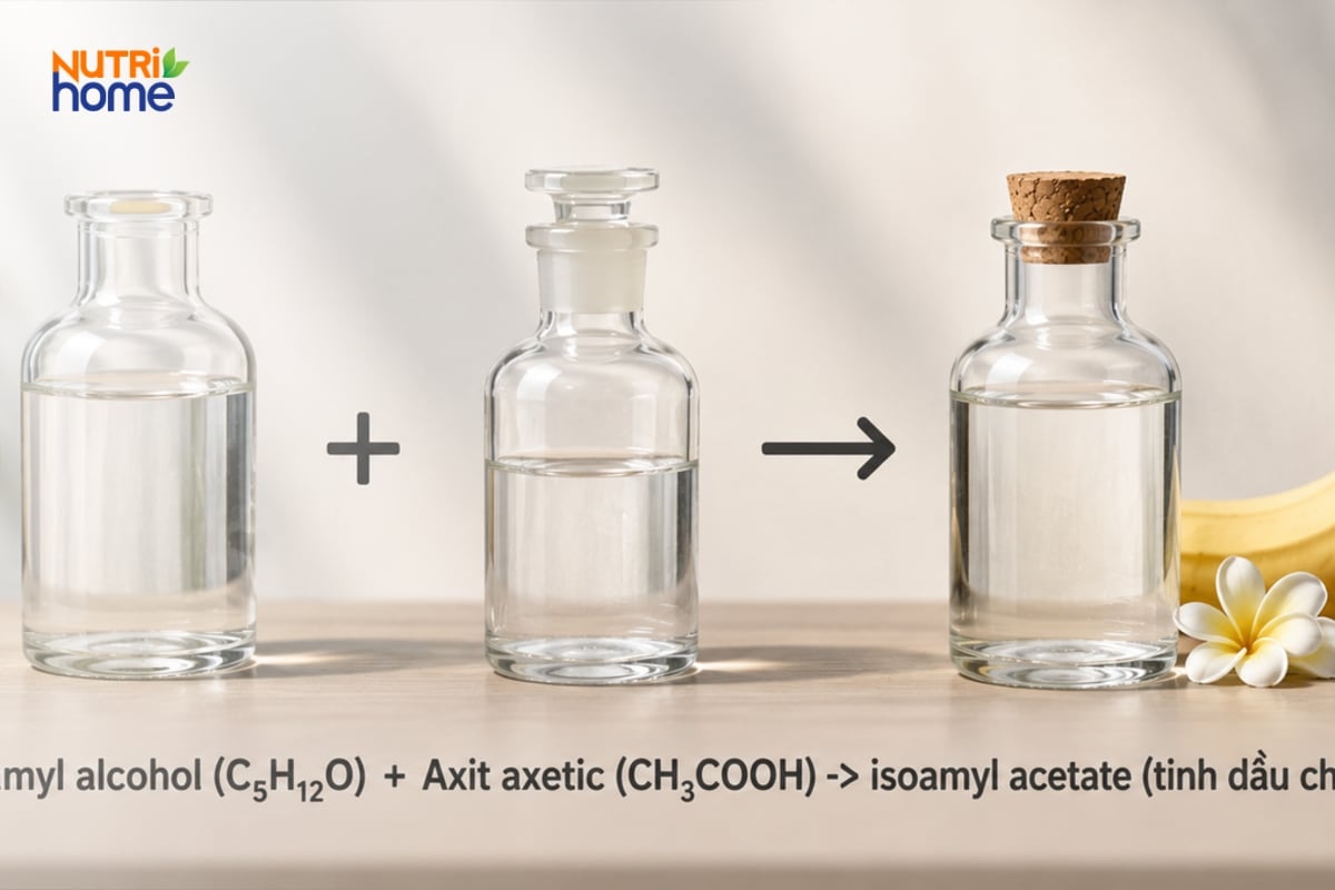 Minh họa các dung dịch tham gia phản ứng tạo isoamyl acetate.