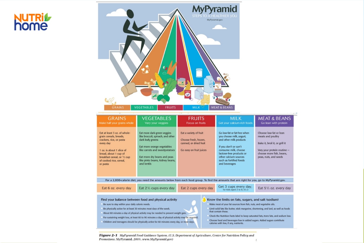 Tháp dinh dưỡng MyPyramid do USDA công bố năm 2005