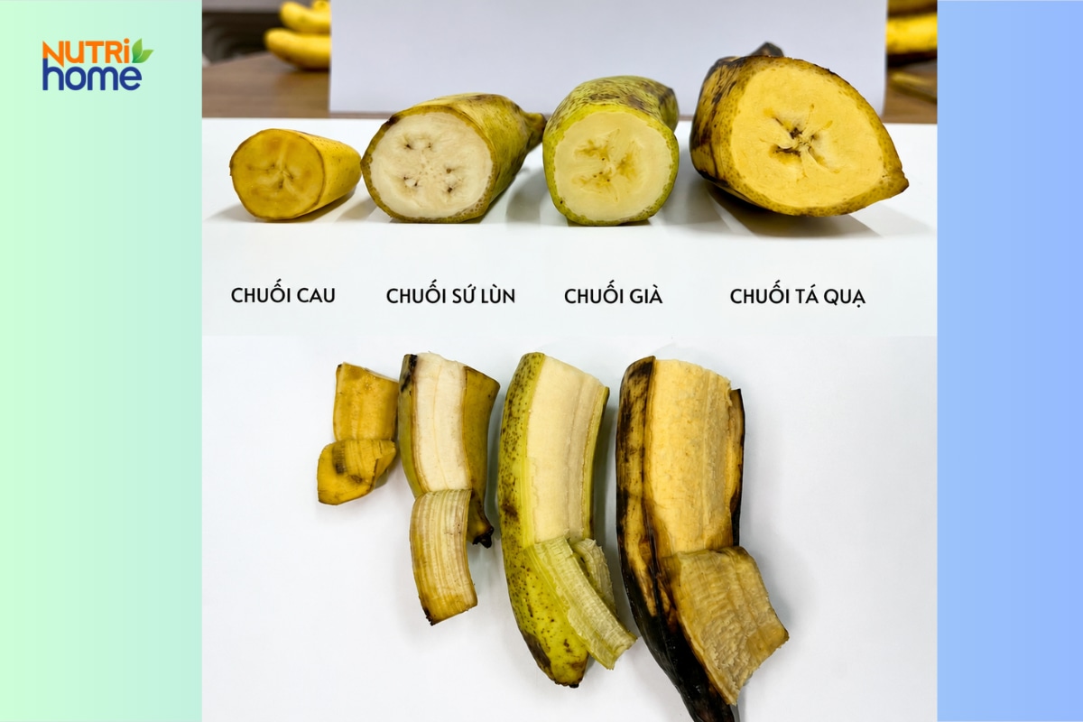 So sánh kích thước chuối tá quạ với chuối cau, sứ lùn, già