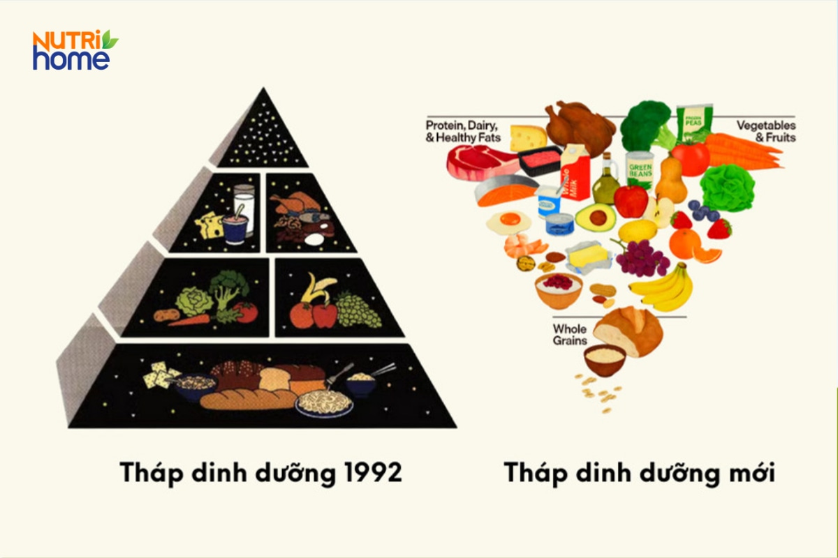 So sánh tháp dinh dưỡng 1992 và tháp dinh dưỡng ngược mới