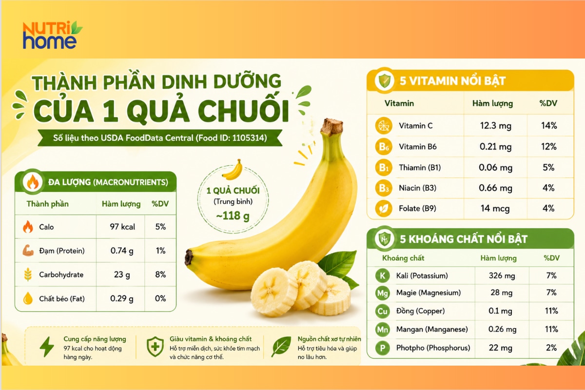 Infographic thành phần dinh dưỡng của 1 quả chuối theo USDA