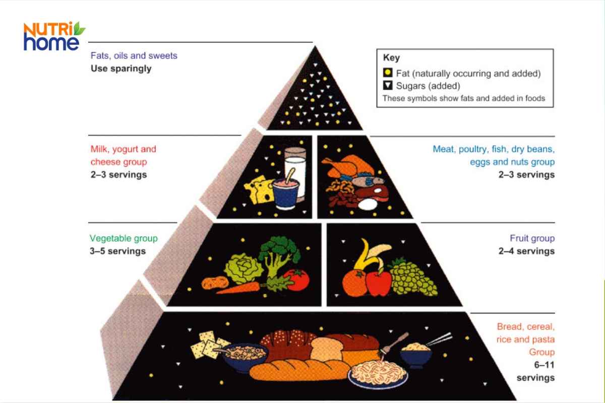Tháp dinh dưỡng Food Pyramid do USDA công bố năm 1992