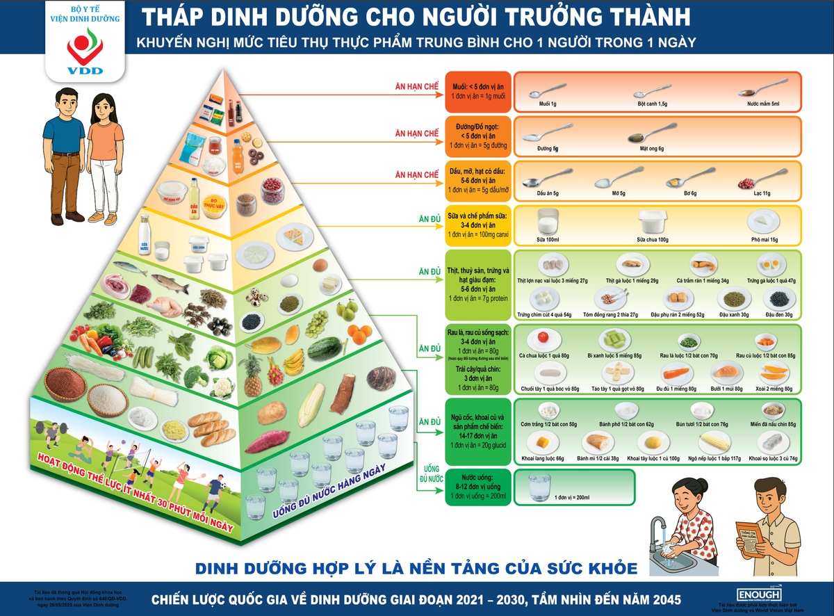Tháp dinh dưỡng cho người trưởng thành của Viện Dinh dưỡng 2021-2030