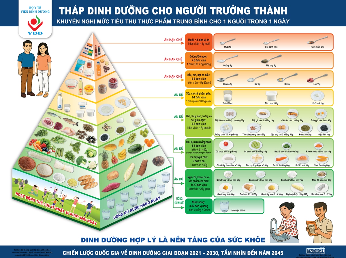 Tháp dinh dưỡng cho người trưởng thành của Viện Dinh dưỡng